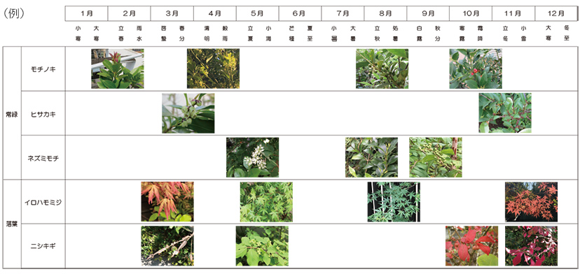 5×緑の主な植栽：植物カレンダー