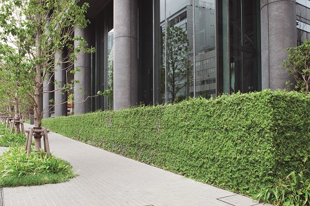 土留め、敷地の高低調整に――「そくめんみどり」の活用方法｜緑化形式