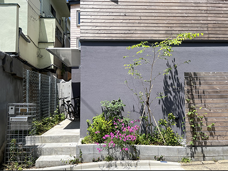 写真 2025-05-28 10 56 06st.jpg