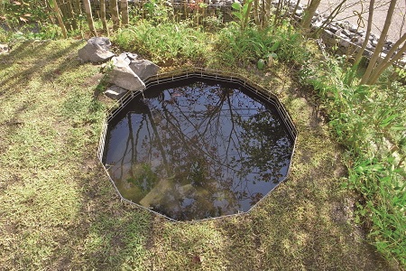 G 15-b.jpg