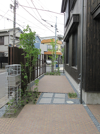 IMG_4764st.jpg
