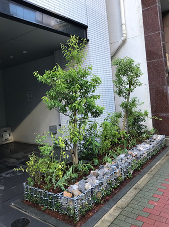 マンション足元を里山の植物で植栽改良 緑化形式ごとの事例 5 緑 ゴバイミドリ マンション足元を里山の植物で植栽改良 緑化形式ごとの事例 5 緑 ゴバイミドリ