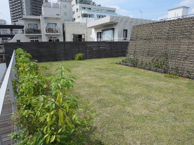 代官山屋上緑化 つながる緑 緑化形式ごとの事例 5 緑 ゴバイミドリ 代官山屋上緑化 つながる緑 緑化形式ごとの事例 5 緑 ゴバイミドリ