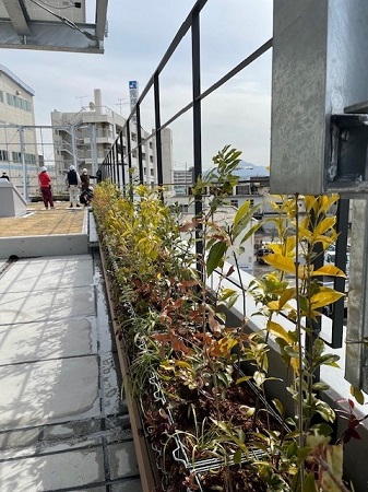 緑の環境設計 緑化促進型フェンス – JFE建材株式会社