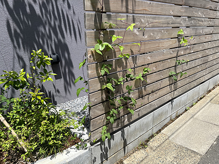 写真 2025-05-28 10 50 22s.jpg