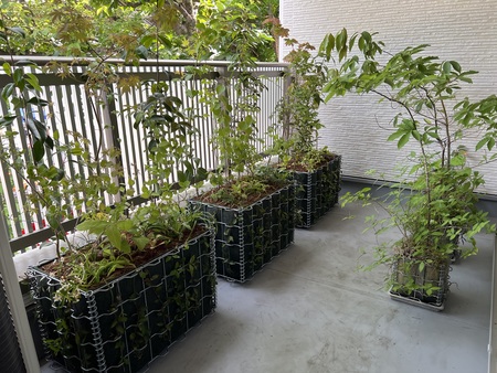 写真 2025-05-21 15 12 54.jpg