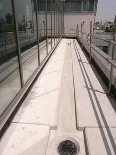 Hs.jpgのサムネイル画像