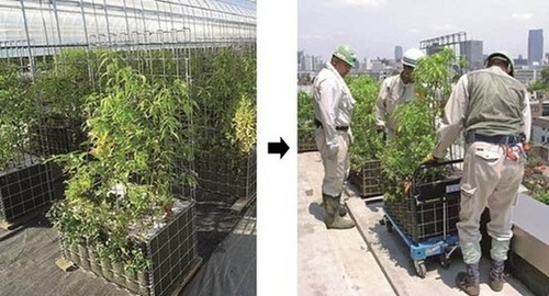 cd.jpgのサムネイル画像のサムネイル画像のサムネイル画像