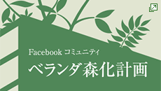 facebook コミュニティ ベランダ森化計画