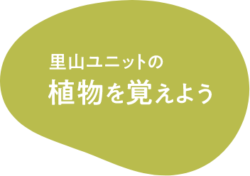 植物を覚えよう