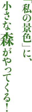 「私の景色」に、小さな森がやってくる！