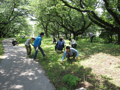 選択除草.jpg