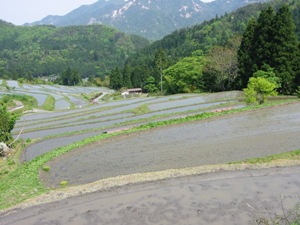 090510_hata1.jpg