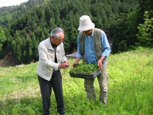 畑の棚田で草刈りをしました