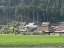 090818_miyama3.JPG