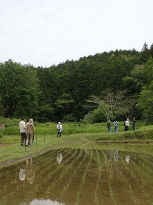 写真4_P5230460_e.JPG