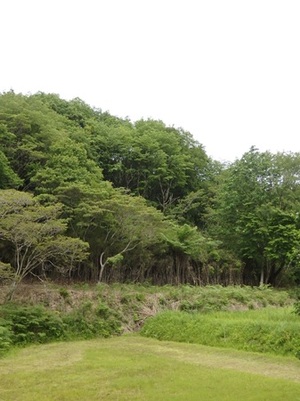 写真5_P5230465.JPG