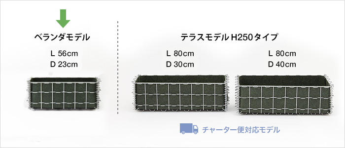 サイズ比較