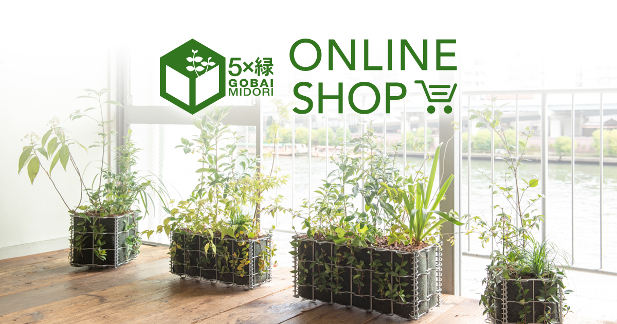 5×緑（ゴバイミドリ）オンラインショップ