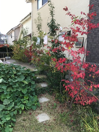 写真 2017-11-02 11 07 36s.jpg