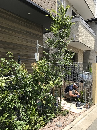 写真 2018-07-13 11 55 46s.jpg
