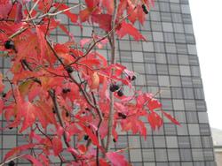 IMG_0080s.jpg